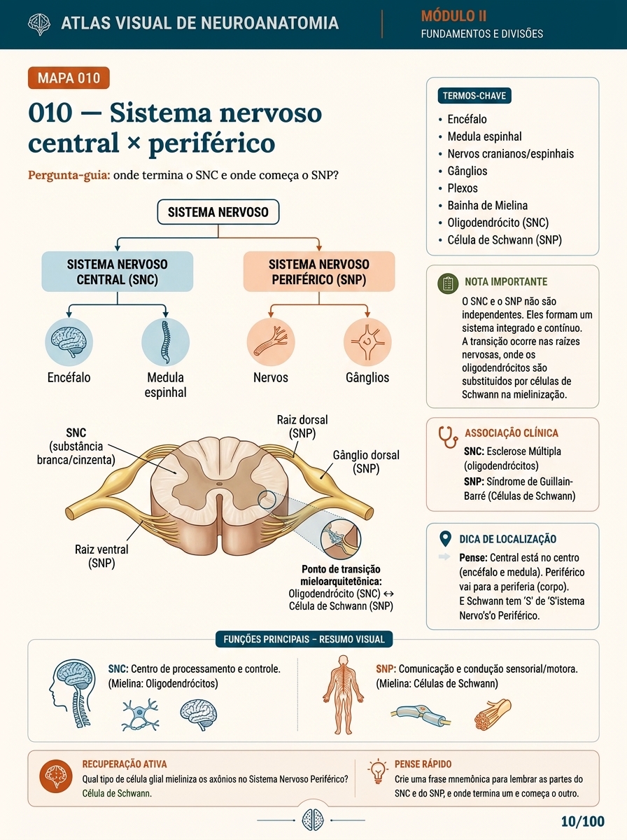 Mapa Visual NeuroMap