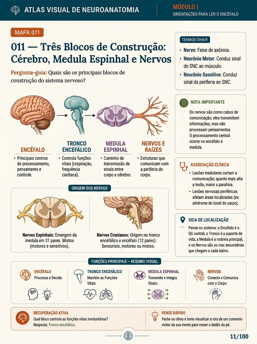 Mapa Visual NeuroMap